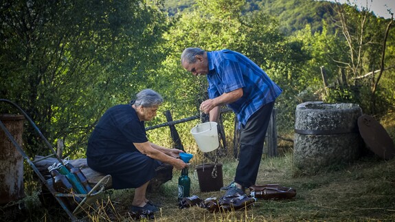 Międzynarodowy Festiwal Filmów Krótkometrażowych ŻUBROFFKA