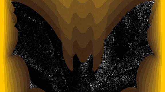 LasFest – 8. Międzynarodowy Festiwal Teatralny w Lesie. Edycja Nietoperza